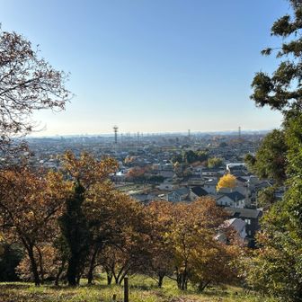 階段を登り切ったところで一枚。