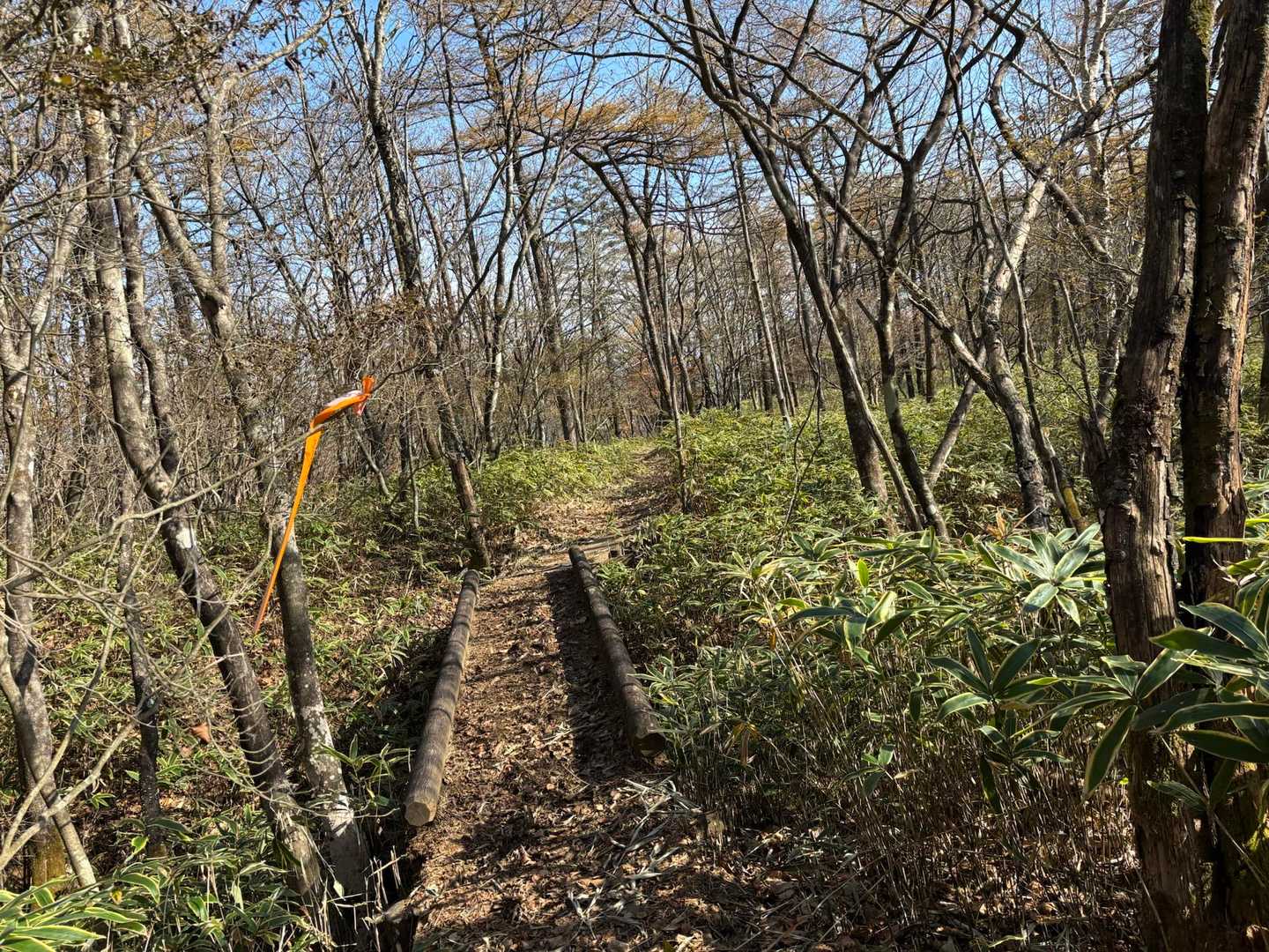 霧降高原レストハウス-大山-霜降の滝バス停 縦走コースの写真