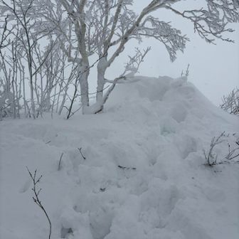 看板見つけられず⛄️
