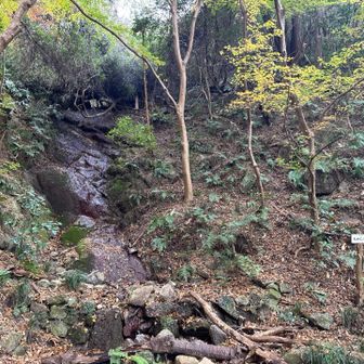 滝？枯れてるな