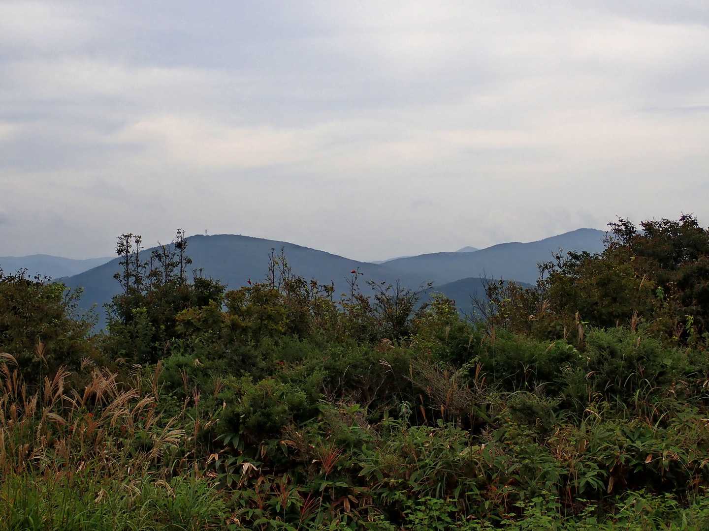 右の臥龍山から左の掛頭山に縦走したことがあります。途中に顔を出しているのは深入山。