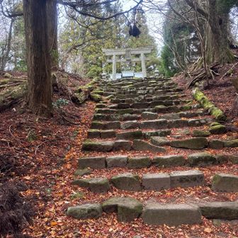 所々荒れてるが