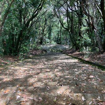 階段を転けない様に降りてゆき🚶💦