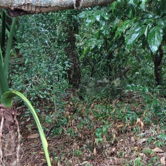 よく見ると二級基準点が有ります