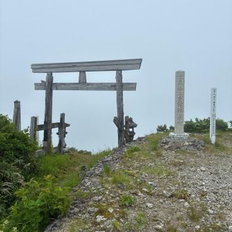 頂上に着いたら曇ってました。眺望なし
