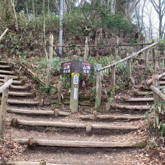 もしかしたら左のほうが楽しかった？右に行きました。