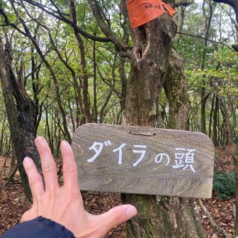 ダイラの頭登頂⛰️
今日はここでピストン
まだ物足りないけど我慢