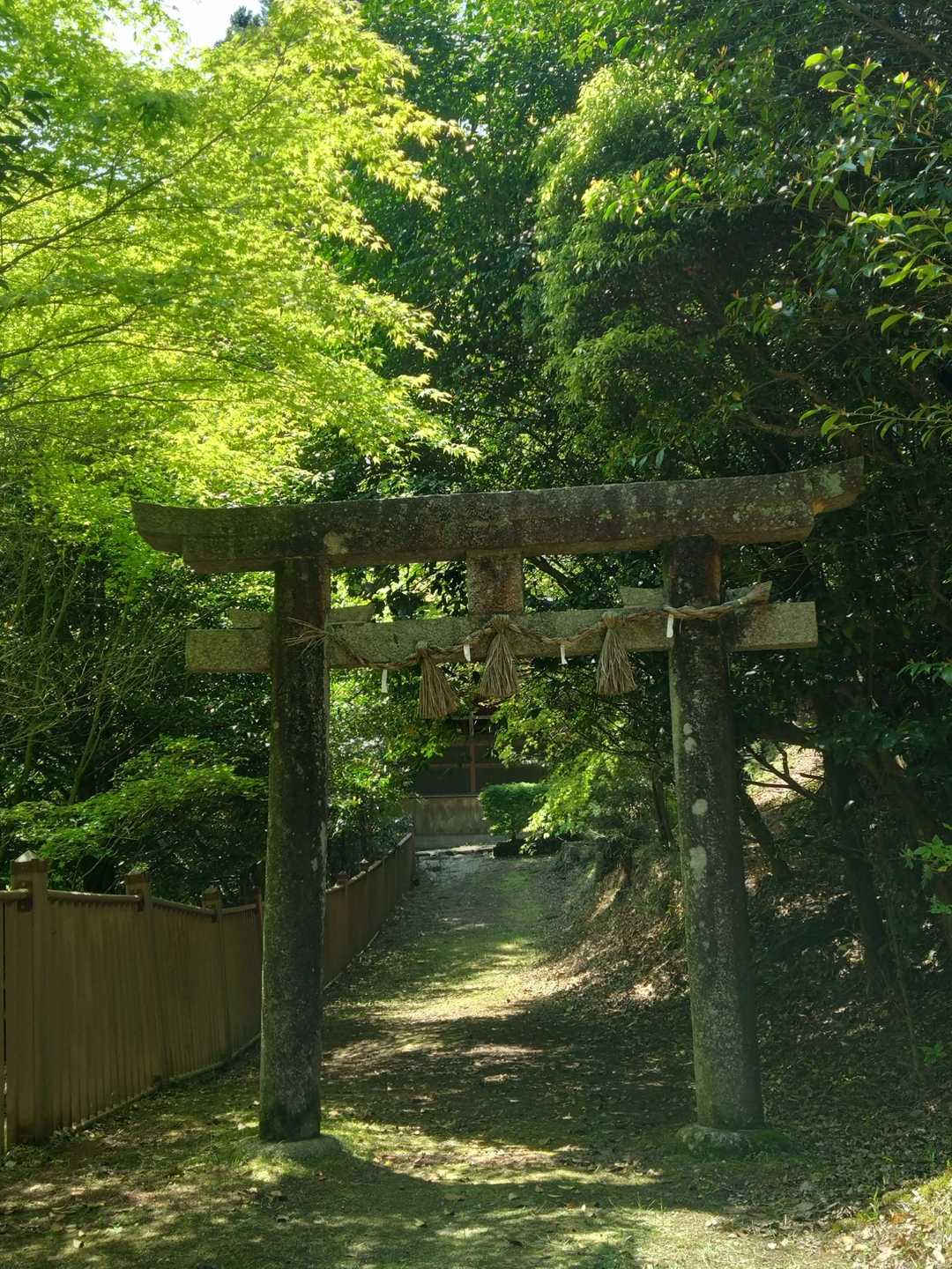 高山神社⛩️鳥居の横に「大和桜井100選」パワースポットと書かれていたが…😁