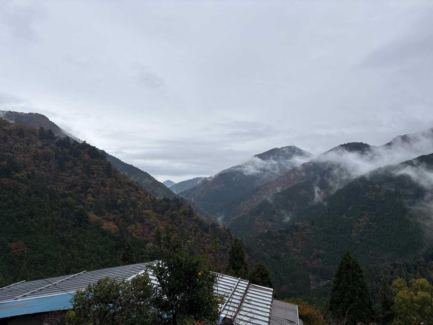 雨の景色もオツですな🥰