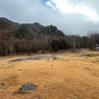 キャンプ場は広々としています