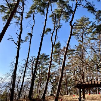 本日３っ目、金華山。
