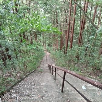 そして最後の〆にこの急な階段！