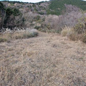 香春10山の対象ではないが焼立山に寄り道。