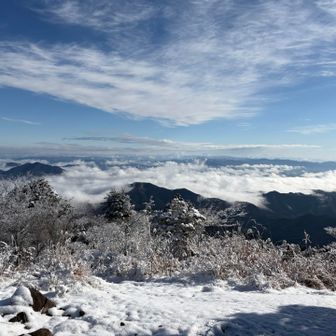 山頂からの眺め