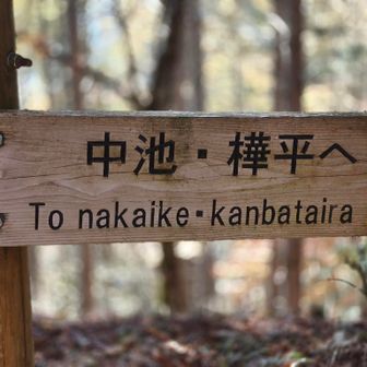 樺平へ

立派な指導標がある時点でバリではないよねぇ😂