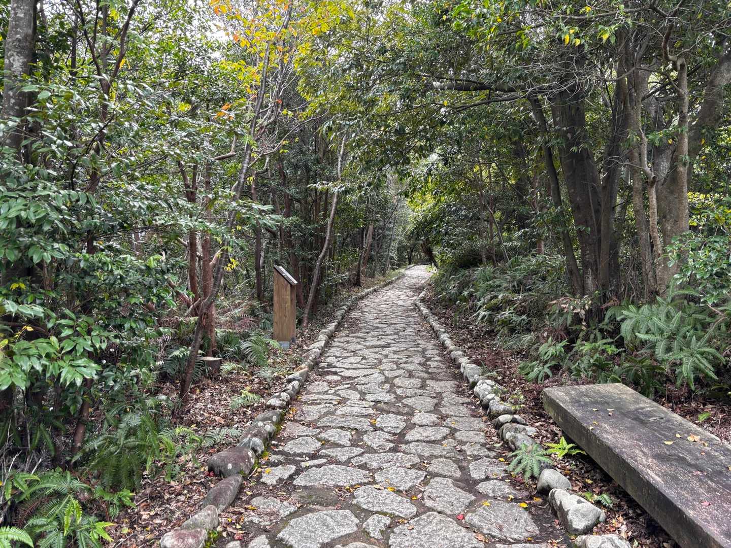 横山 縦走コースの写真