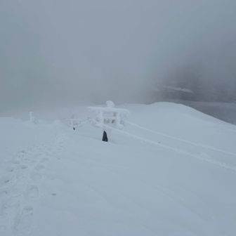 偶に雲が流れて視界が回復しますが、直ぐに視界不良に