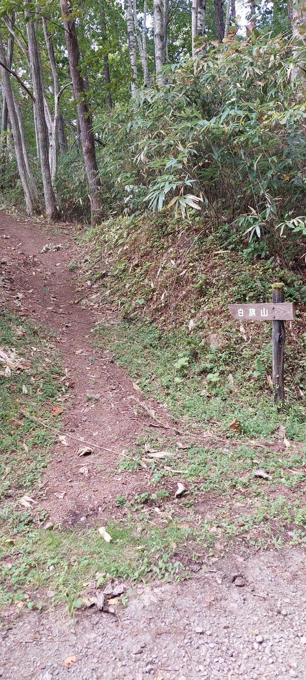 ここから急登始まります💦下山注意⚠