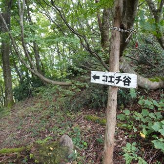 左のコエシ谷へ