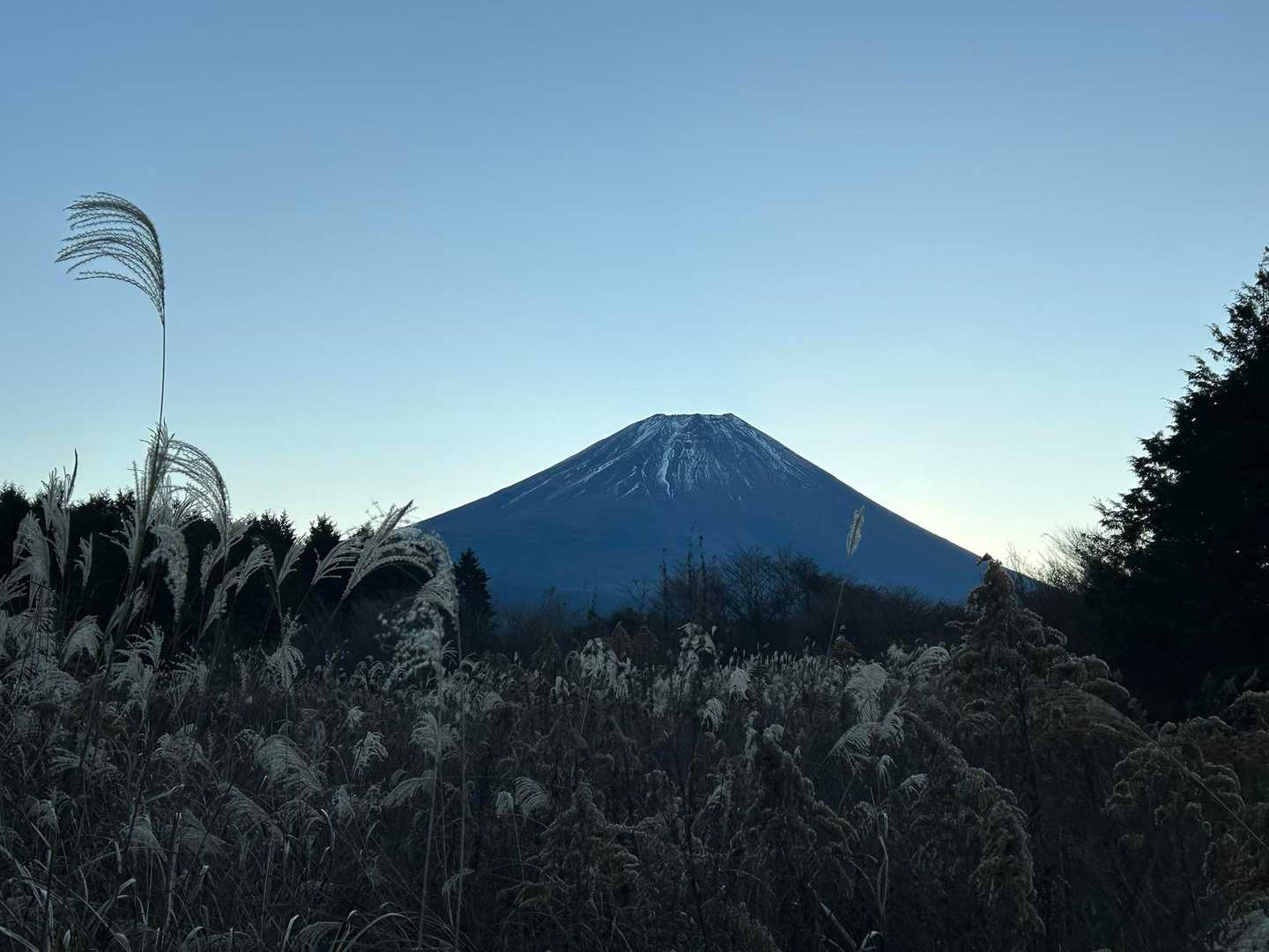 スタートしました！
富士山に見守られてるような気がします
ᕦ(ò_óˇ)ᕤ