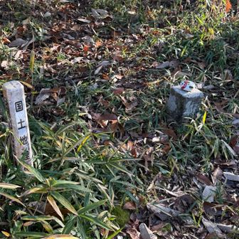 もう、着きました！