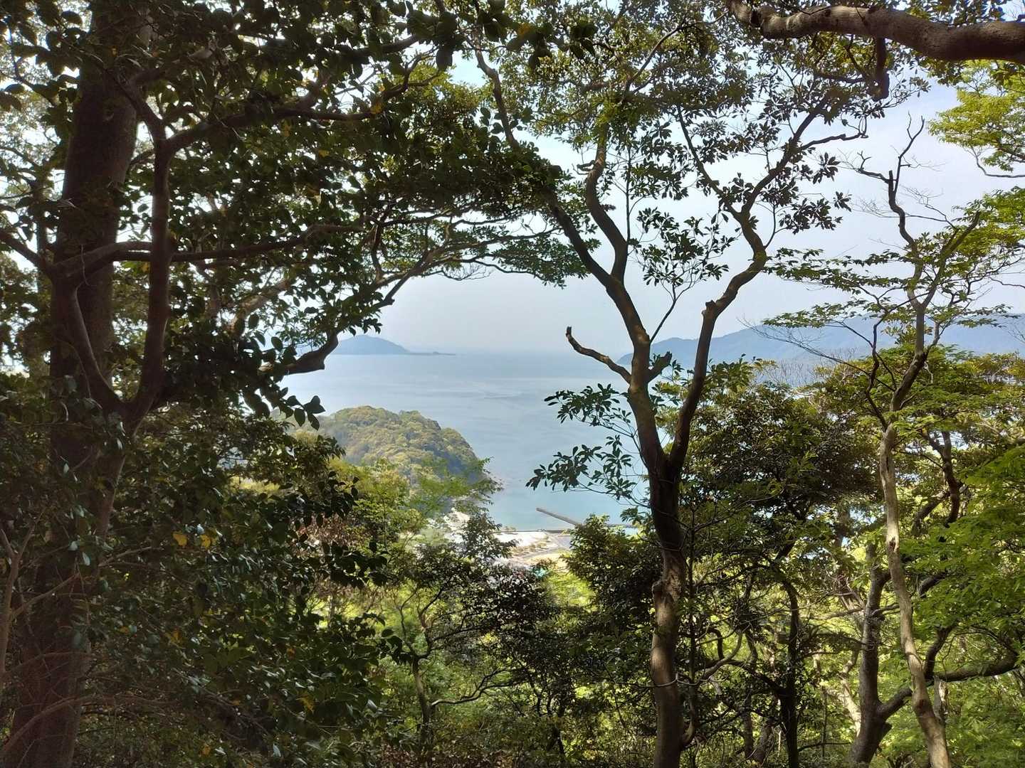 後瀬山 往復コースの写真