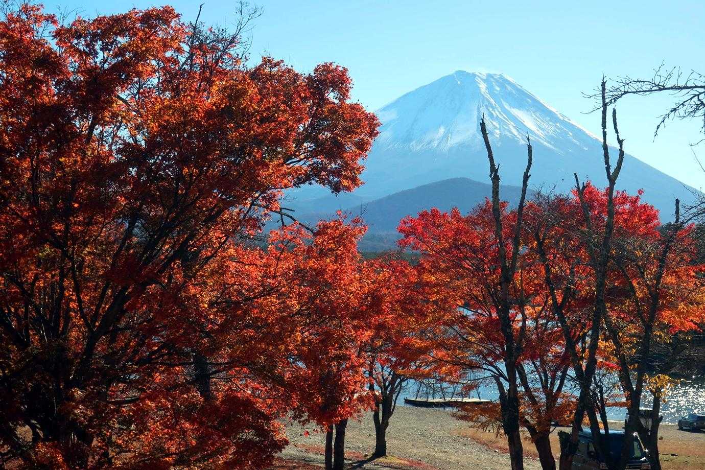 湖畔の紅葉と富士山。