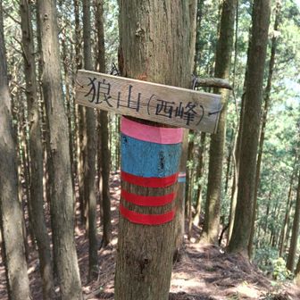 狼山、何とか、ヤマップ地図の端迄来れました。