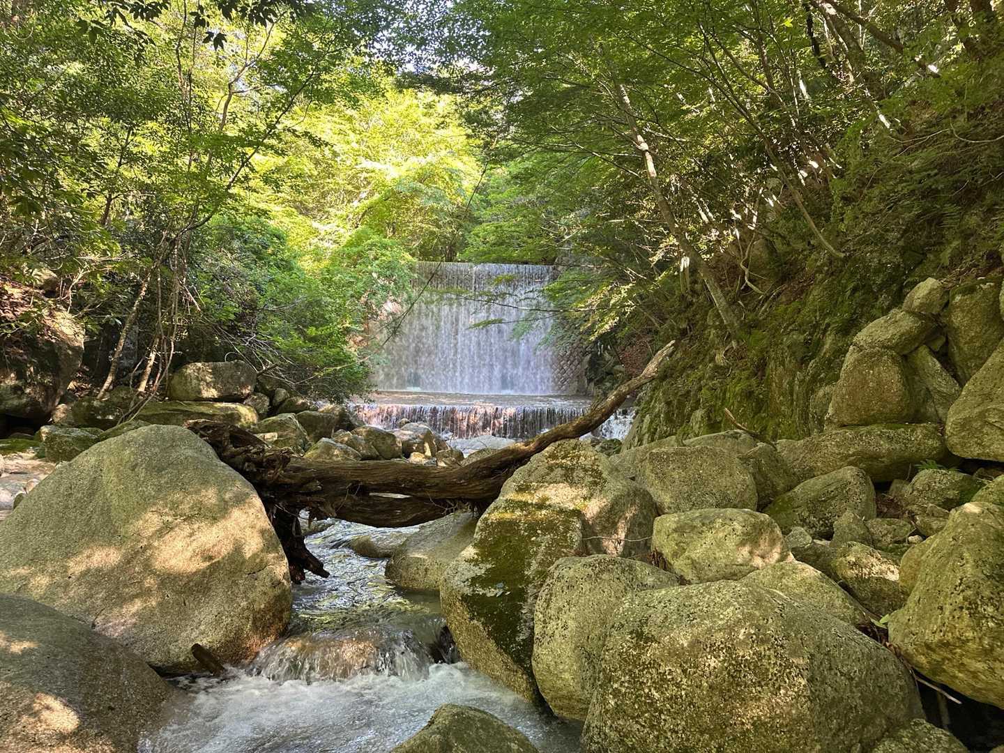 水流多め😅
いきなりの渡渉から…