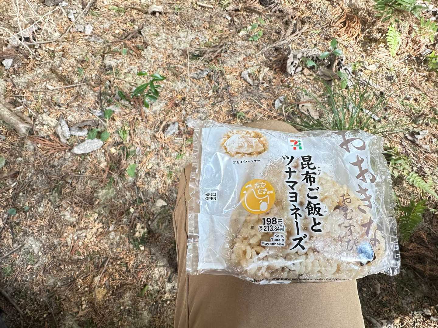 いつもは携行しているサコッシュを行動食ごと忘れました😭
なので本日のカロリー源はこのおにぎり🍙だけ…