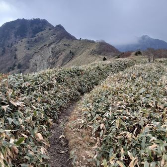 気持ちの良い　尾根道