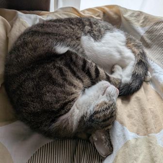 ユーザーカナタ