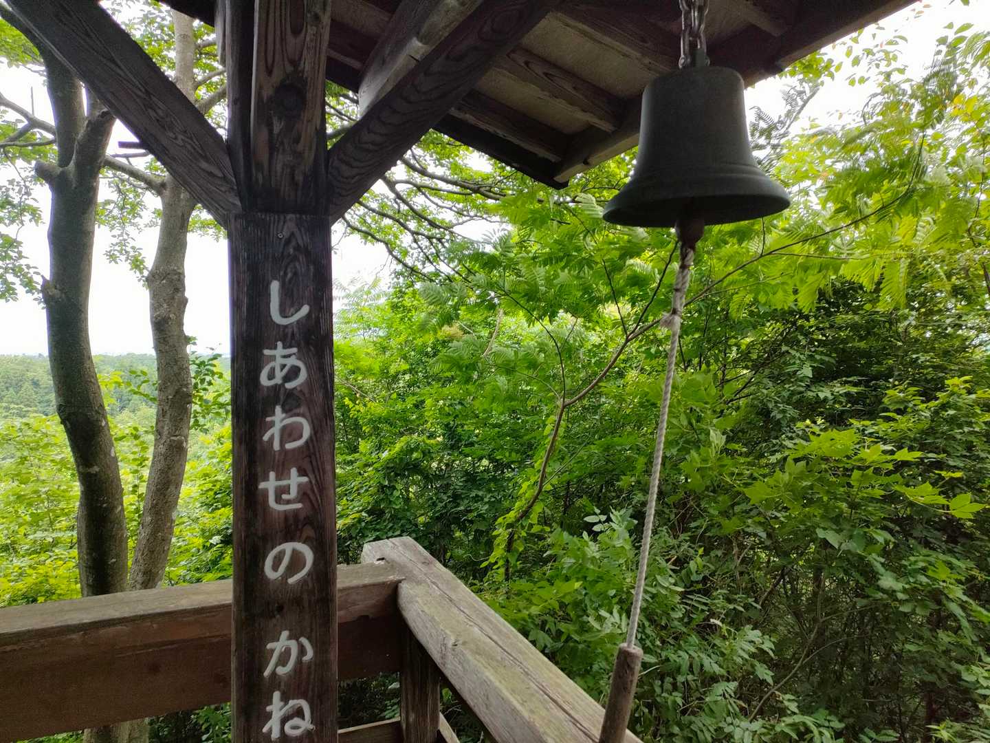 鵯山-天狗山 周回コースの写真