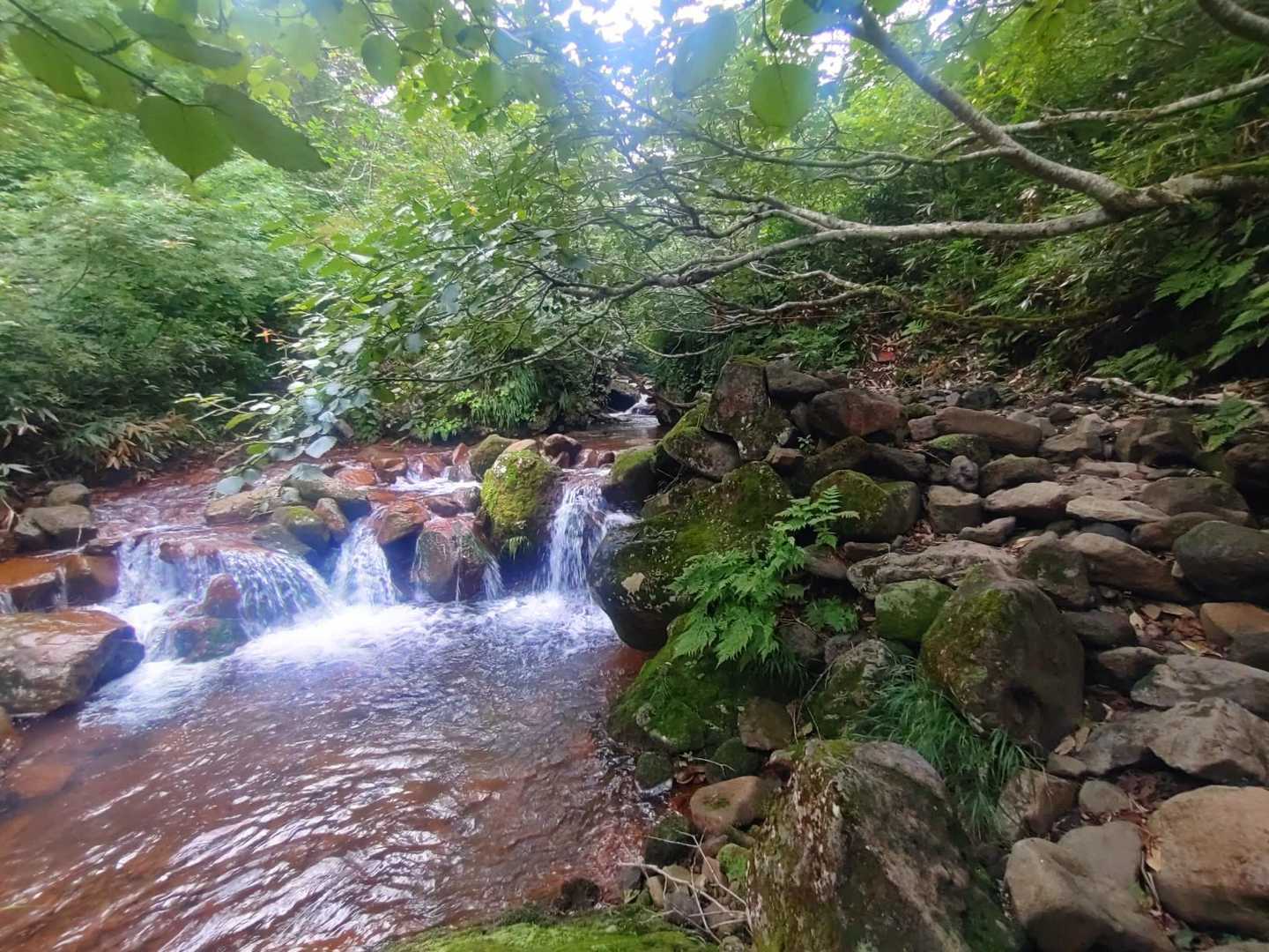 斜里岳往復 | 沢の流れる岩肌とハイマツの稜線歩きを楽しむコースの写真