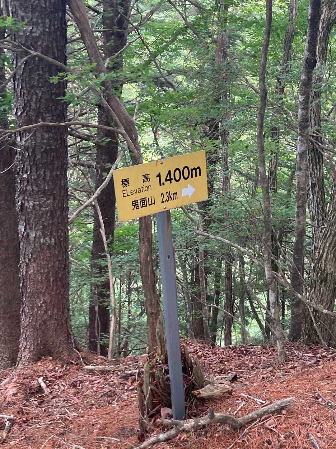 最初の標高表示板
以降、100M刻みで最後は1800Mでした。励みになりました