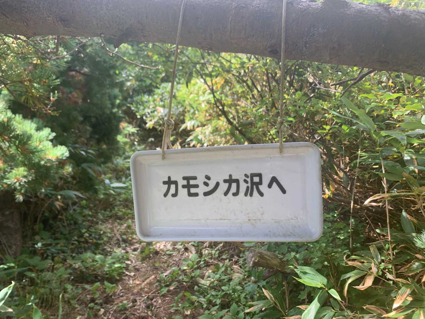 カモシカ沢は、また次回に