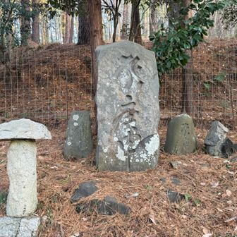 かなり巨大な石碑
左のは男根崇拝とかですかね