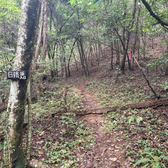 日陰坂の登山口。