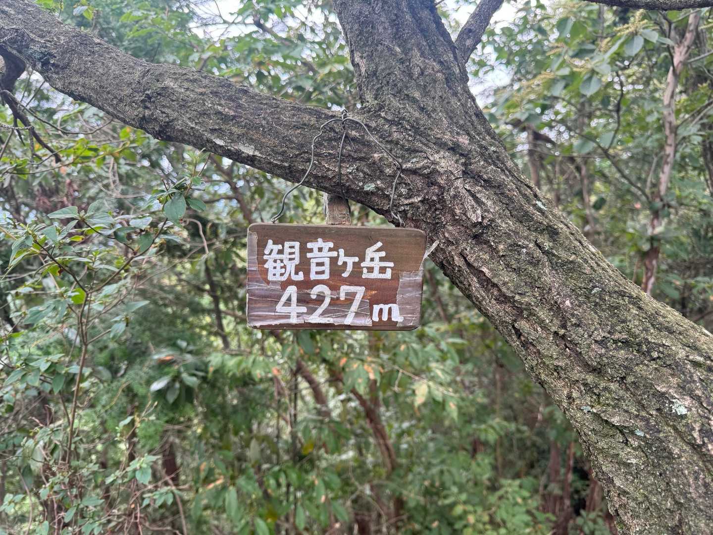 お隣、観音ヶ岳👍