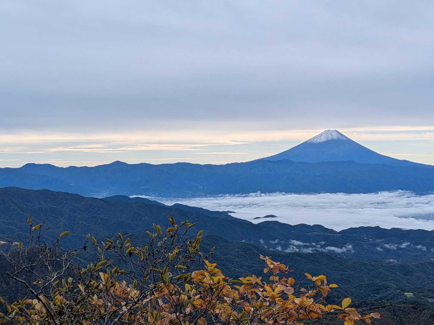 富士山が🗻