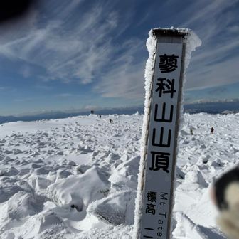 念願のピークとーちゃこ
