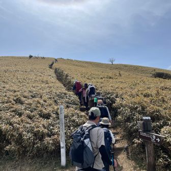 久々にザイオンポジのおいら‼️
若い頃はサッカーやる
⇒気づくとGKをやって、そのポジションの時だけ皆から褒められる謎、、、