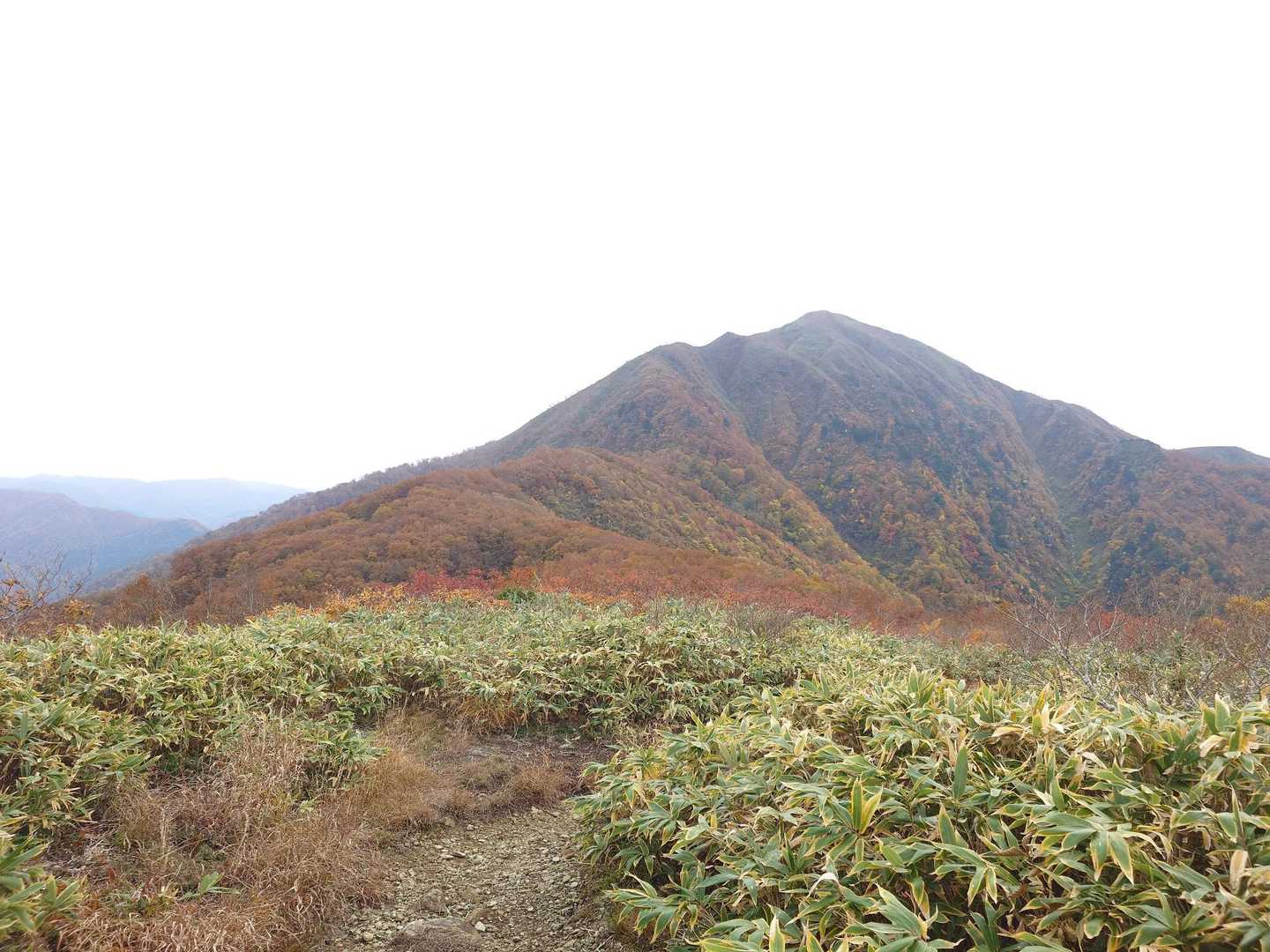 荒島岳勝原登山口-深谷ノ頭-シャクナゲ平-荒島岳-小荒島岳 往復コースの写真