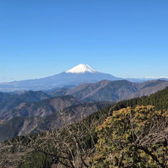 二ノ塔山頂から本日最初の富士山🗻