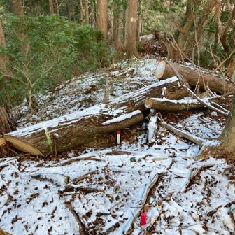 うーん💧‬多分通せんぼしてあるが
ぷちグレピ🩶ハンターとしては乗り越えてｲｸ︎💕︎