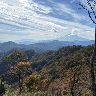 畦ヶ丸から大界木山、菰釣山に延びる稜線。その向こうに富士山。