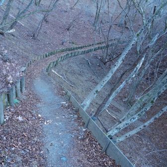 整備されたトラバースが歩いていて気持ちいい