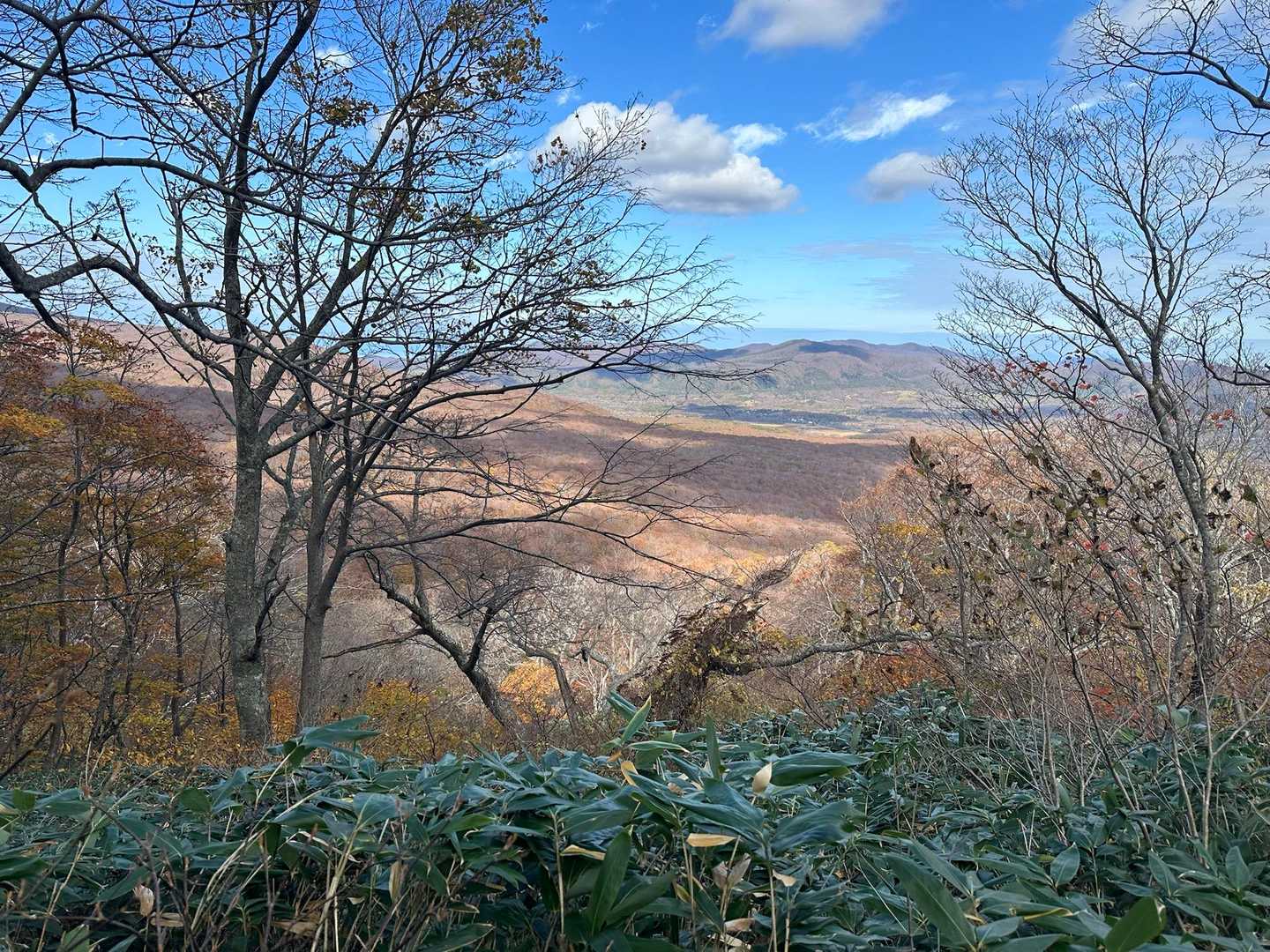 雛岳登山道入口-雛岳 往復コースの写真