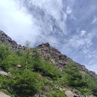 鋸山も見上げる高さ