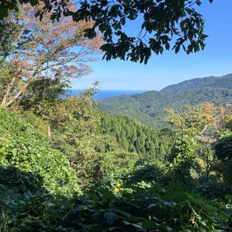 紅葉はもう少し先かなぁ